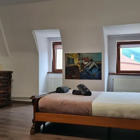 Town Square Loft 布拉索夫